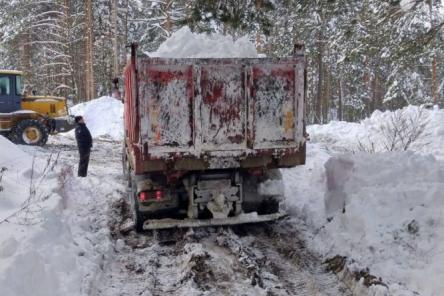 Шалабаев рассказал о поимке нижегородцев, свозящих грязный снег в лес