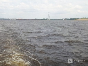 Свыше 600 млн рублей на оздоровление Волги дополнительно получит Нижегородская область