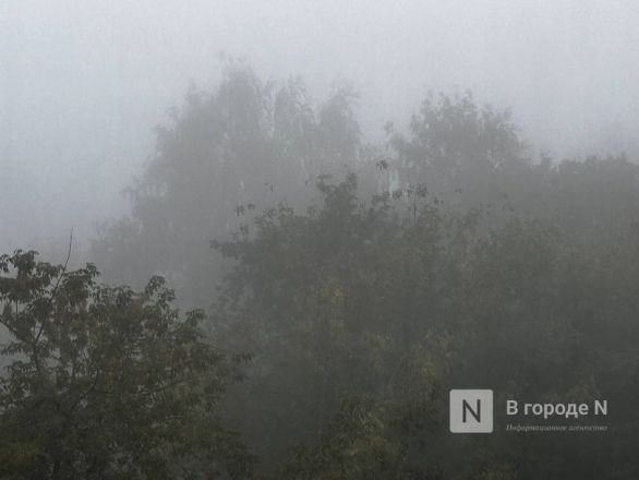 Густой туман накрыл Нижний Новгород утром 11 сентября - фото 5