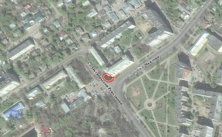 Охранные зоны установили вокруг трех вековых тополей в Нижнем Новгороде - фото 2