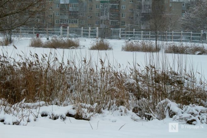 Фоторепортаж: как выглядит парк 777-летия Нижнего Новгорода после благоустройства - фото 58