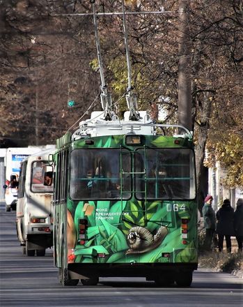 Троллейбус оформленный в экостиле появился в Дзержинске - фото 3