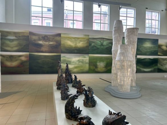 «Кожа Земли»: в Нижнем Новгороде проходит первая международная ЭкоБиеннале - фото 6