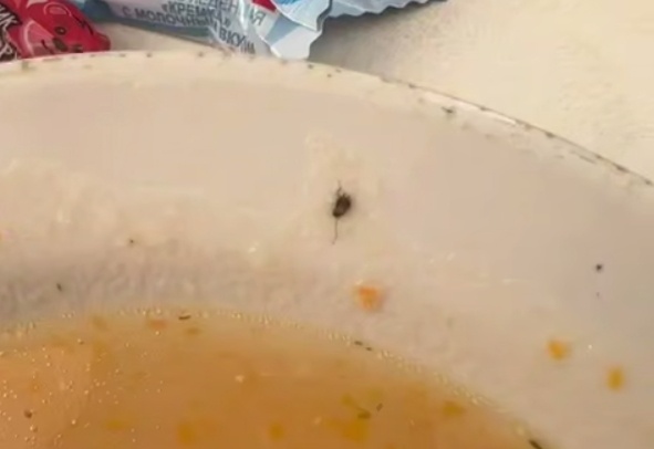 Пациенты нижегородской больницы пожаловались на полчища тараканов в палатах - фото 1