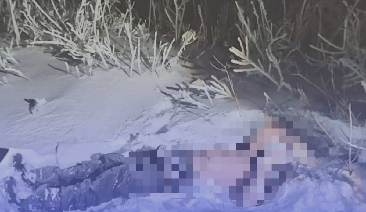 Соцсети: тело полуголого мужчины обнаружили в Заволжье - фото 1