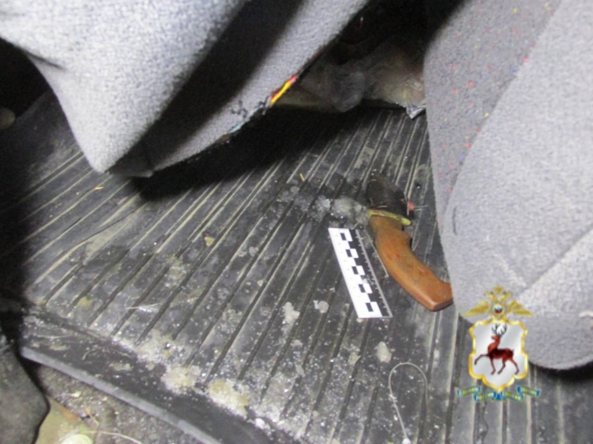 Экс-сотрудника правоохранительных органов осудят за убийство лосей под Балахной - фото 1