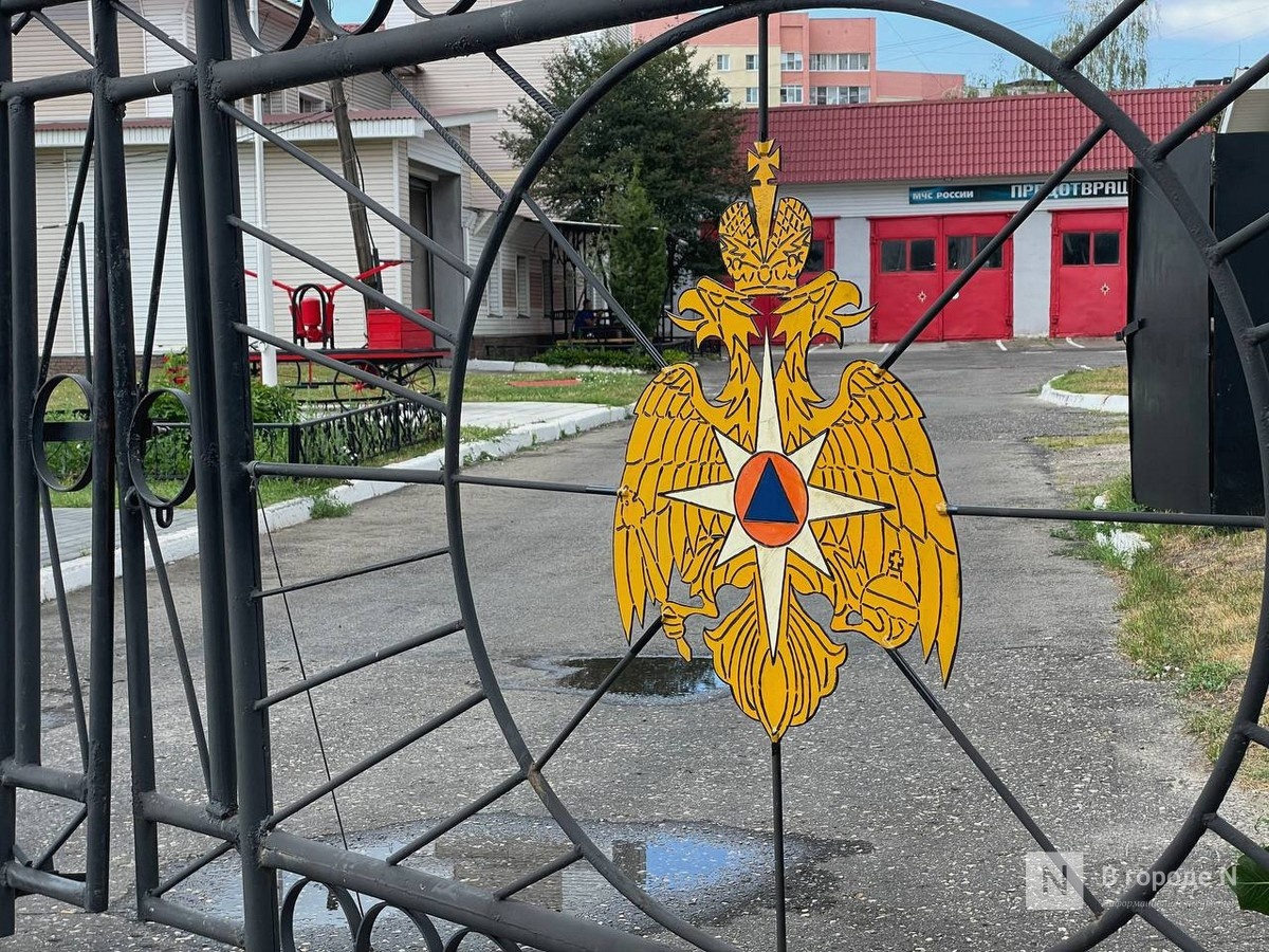 Смертельный пожар произошел в жилом доме в Лукояновском округе - фото 1