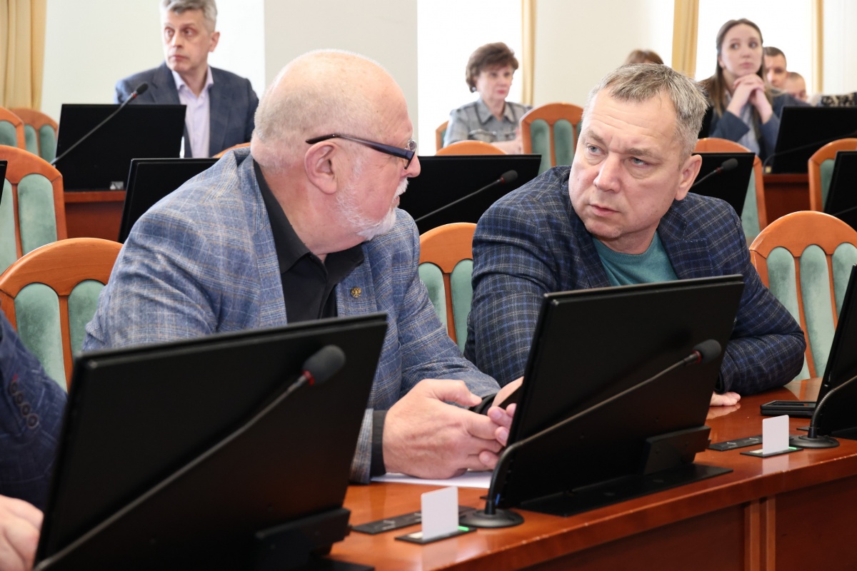 Депутаты ЗСНО обсудили меры поддержки нижегородцев с инвалидностью - фото 1