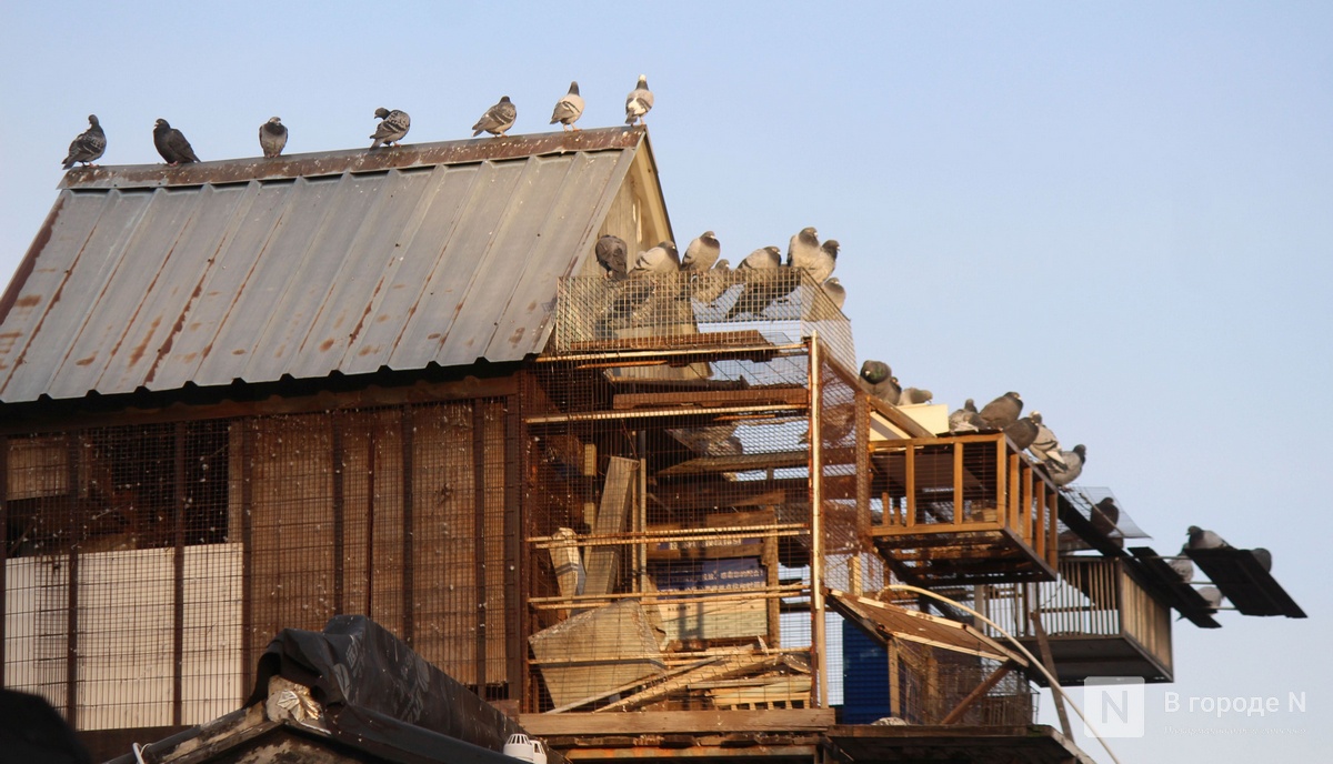 Великая стена и проблемы с интернетом: нижегородка рассказала о незабываемом путешествии в Китай - фото 25