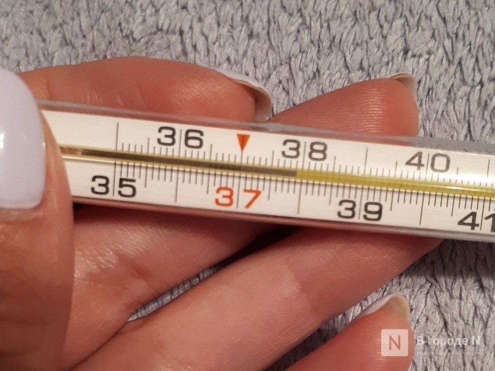 Шестерых зараженных лихорадкой Денге выявили в Нижегородской области - фото 1