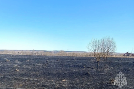 Четыре природных пожара произошло в Нижегородской области за день