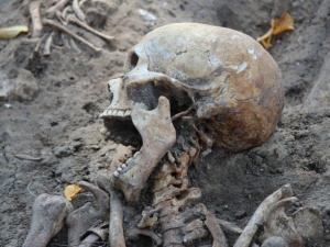 На территории Нижегородского кремля обнаружено 117 детских могил
