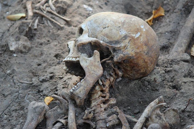 На территории Нижегородского кремля обнаружено 117 детских могил - фото 1