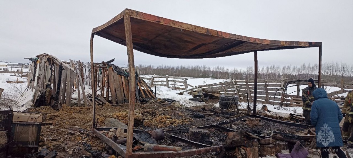 Мужчина погиб при пожаре в бытовке в Городецком округе - фото 1