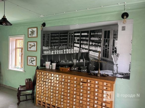 Фоторепортаж: уникальный Дом-музей провизора Эвениуса открыли в Нижнем Новгороде - фото 14