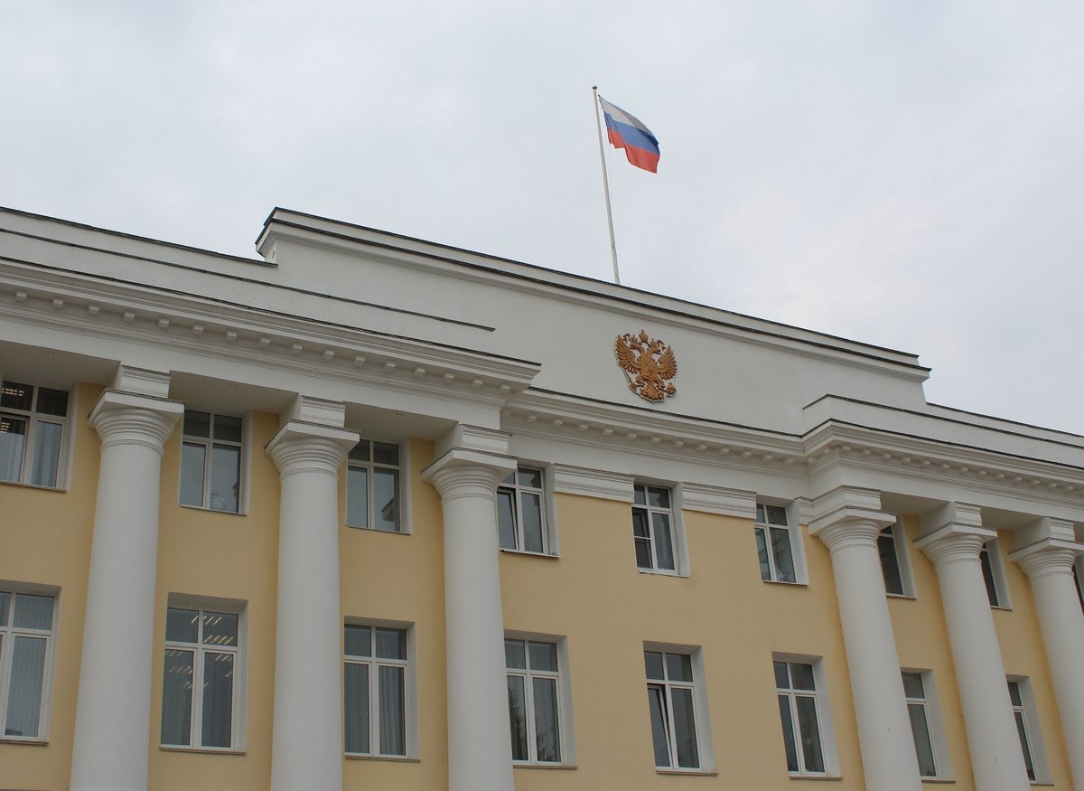 Более 1,6 тысяч обращений поступило нижегородскому детскому омбудсмену в 2020 году