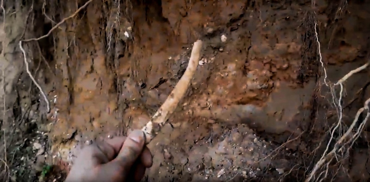 Человеческие кости снова нашли в Нижегородском кремле - фото 1