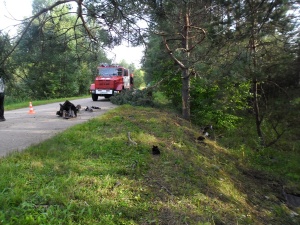 Три смертельных ДТП случилось на нижегородских дорогах 8 августа