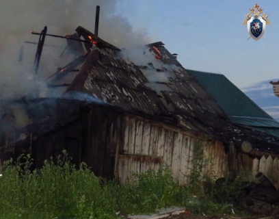 Следователи выясняют причины гибели мужчины на пожаре в Балахнинском районе - фото 1