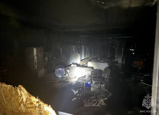 Мощный пожар произошел в промышленной зоне в Нижнем Новгороде - фото 2