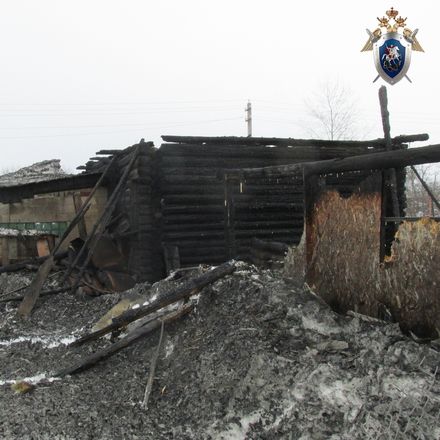 СК ведет проверку по факту гибели пенсионеров на пожаре в Балахнинском районе - фото 2