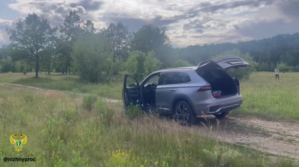 Водителя, сбившего насмерть ребенка в Дзержинске, отдали под суд - фото 1