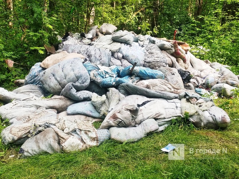 Свалку из постельных принадлежностей обнаружили нижегородцы в Зеленом городе - фото 2