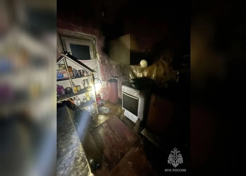 Пожар унес жизнь 90-летней женщины в Дивеевском округе - фото 1