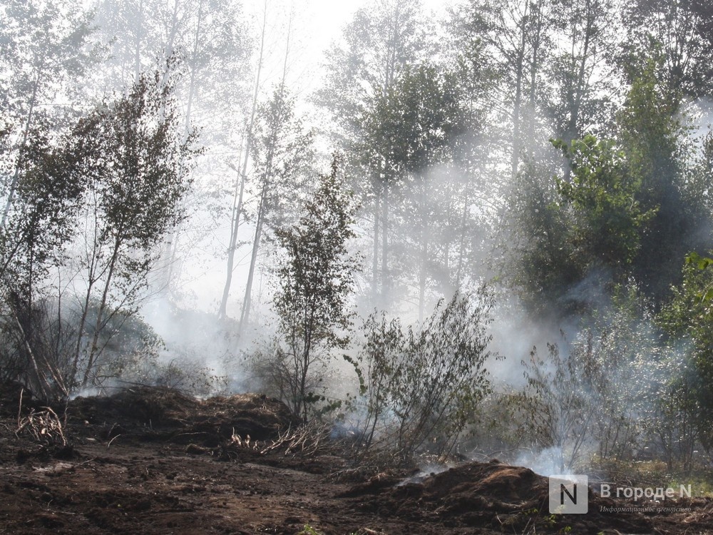 МЧС предупреждает о высокой пожароопасности лесов в Нижегородской области - фото 1
